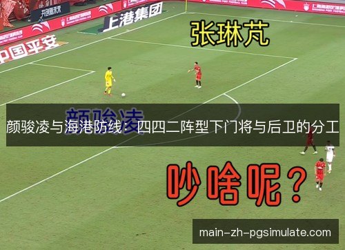 颜骏凌与海港防线:四四二阵型下门将与后卫的分工 颜骏凌与海港防线:四四二阵型下门将与后卫的分工
